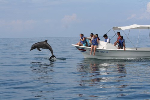 Teens volunteer on a  high school wildlife conservation project in Costa Rica.