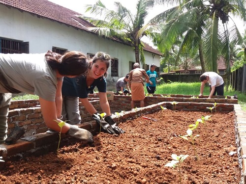 Service learning with agriculture