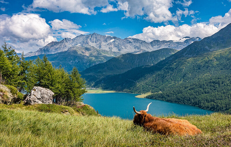 Mountains in Switzerland