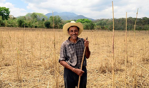 Volunteer program in Honduras with United Planet