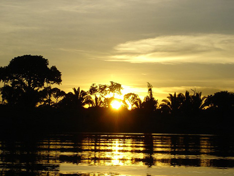 Volunteer in Brazi preserving the Amazon