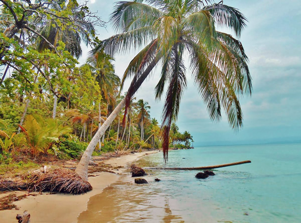 Living in Bocas del Toro beach in Panama.