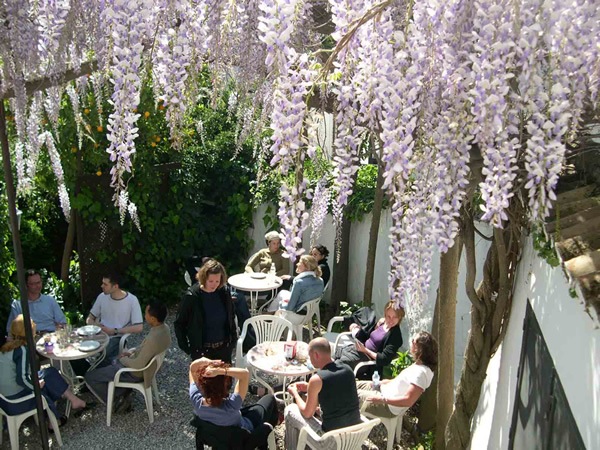 Studying Spanish in Andalucia and enjoy a drink at an outdoor garden cafe.