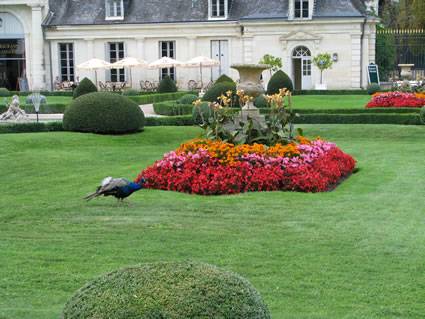 Smell of castle grounds while traveling in the Loire Valley, France.