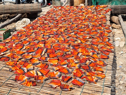 Fish drying on bamboo sticks