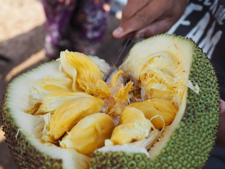 Inside jackfruit