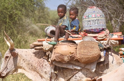 After the festival, the Wodaabe and their packed animals disperse.