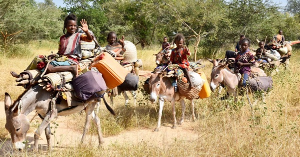 The Wodaabe are nomadic cattle herders in Chad, and always on the move.