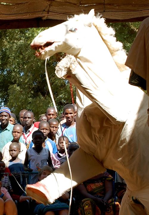 Festival on the Niger: Men on Stilts.