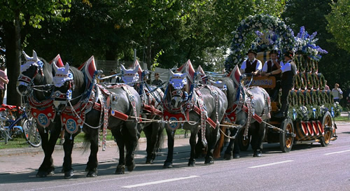 Horses at Oktoberfest.