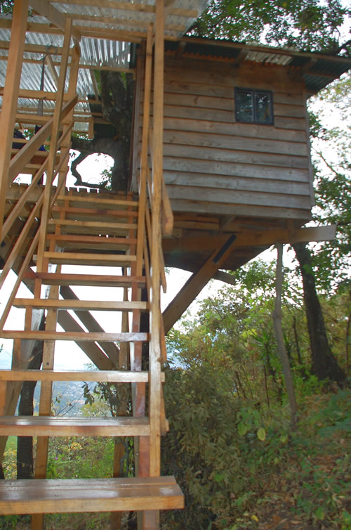 Guatemalan magical tree house.