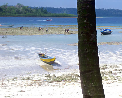 Tsunami Beach