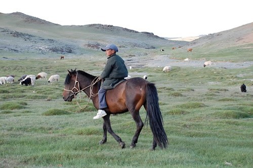 Boy on horseback.