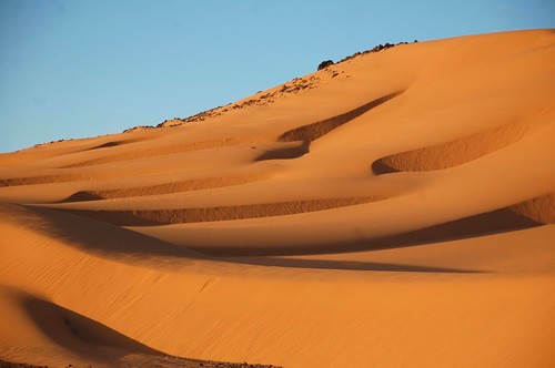 Sand dunes in late afternoon when it is still warm.