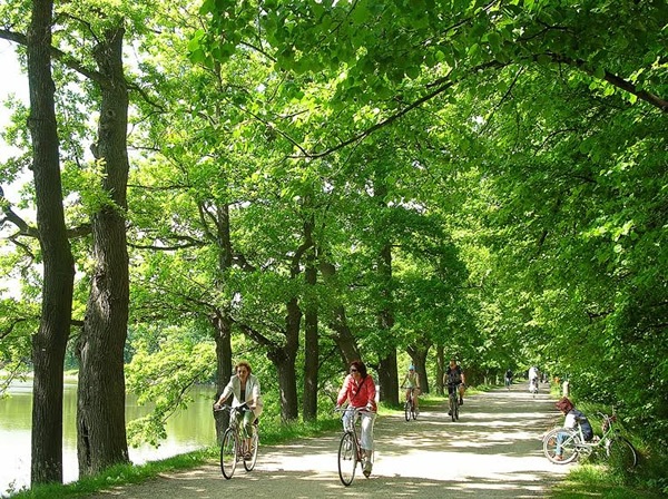 Cycling on path in Svet, South Bohemia, Czech Republic.