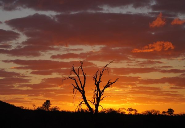 Sunrise in Kruger National Park, South Africa