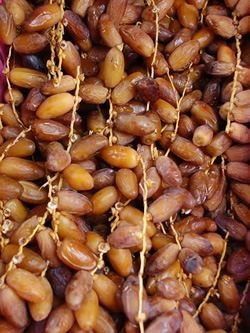 Dates from Djerba, Tunisia.