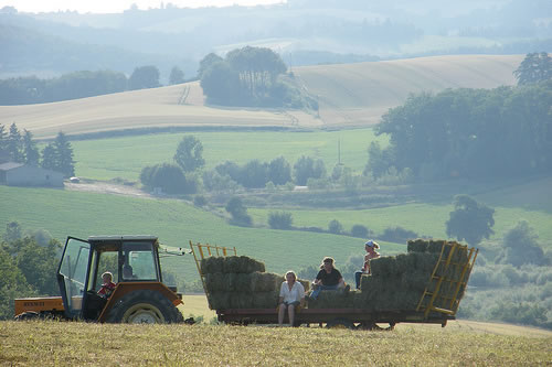 Family volunteering on a farm.