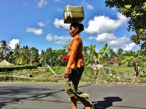 Balinese woman walking to community temple.