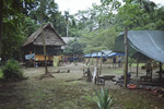 Bolivia jungle camp