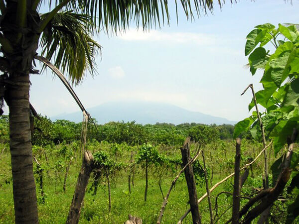 A green landscape in El Salvador.