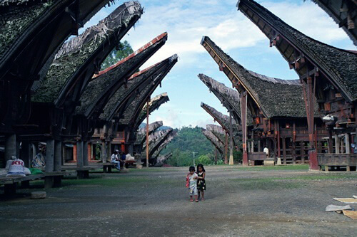 Houses in Tana Toraja, Indonesia.