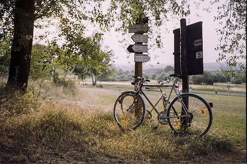 Biking is a great form of eco-travel.