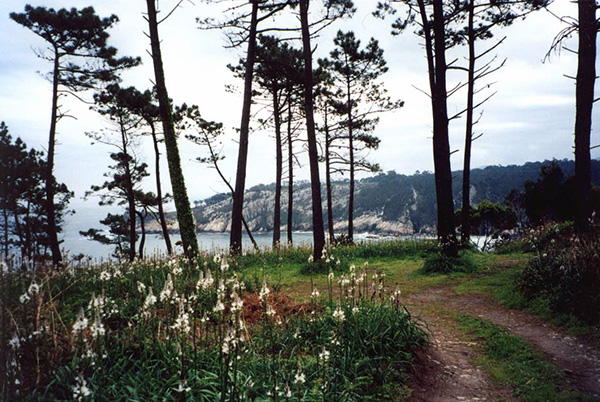 On a trail in Asturias.