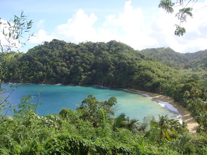 Fisherman's Bay in Tobago.