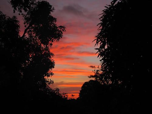 Farm jobs: Sunset Lake Gatun, Guatemala.