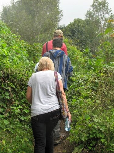 Tour guide job as an interpreter walking a group though a path in the forest.