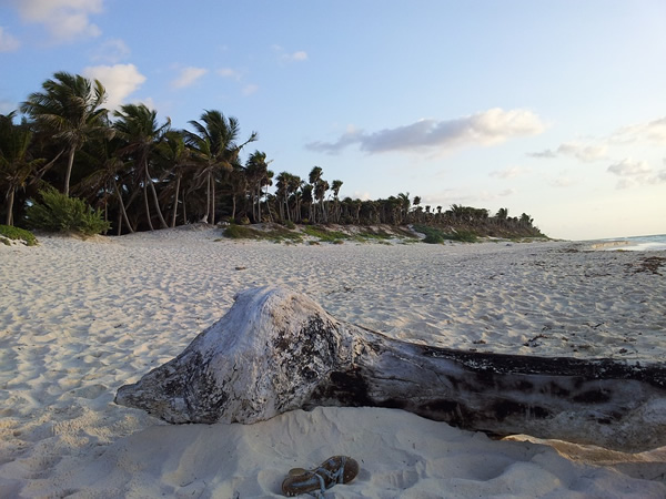 Beach in Mexico.