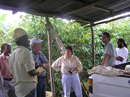 Volunteers assess construction project