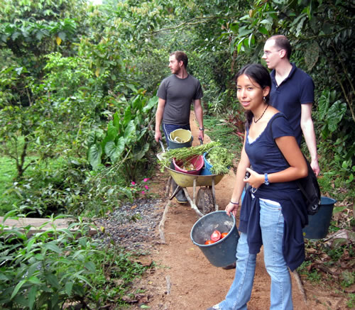 Volunteers feeding animals in Ecuador.