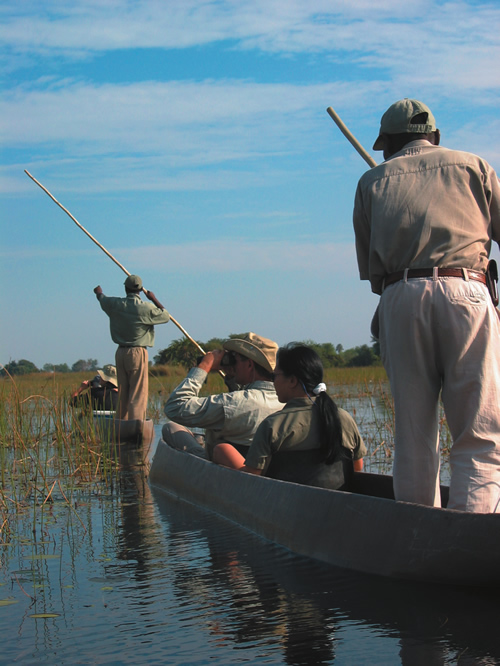 Taking a canoe on the safari.