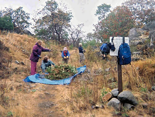 Senior volunteer vacations engaged in conservation of plant ecology with The Land Conservancy.