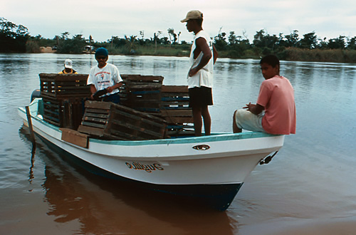 Lobster Fisherman in Belize