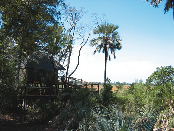 Hut in Botswana.