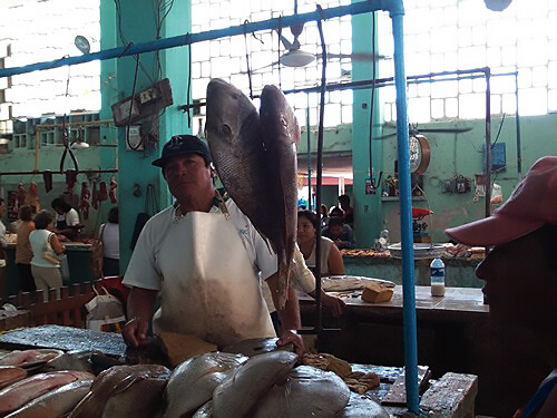 Expatriates and locals alike visit Progreso's fishmonger.