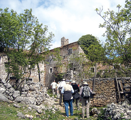 Cres island in Croatia.