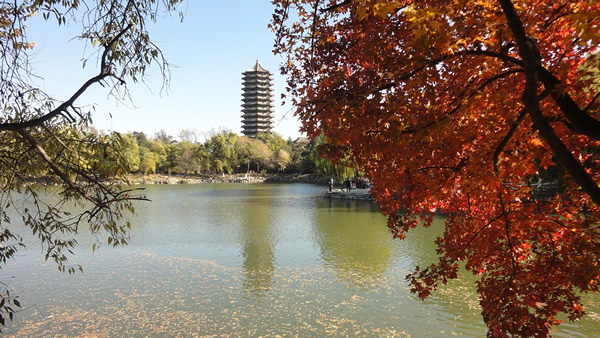 A university campus in China.