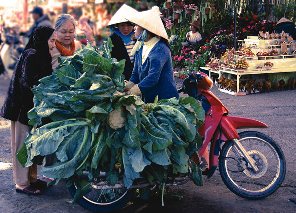 Local woman sells cauliflower in Dalat, Vietnam.