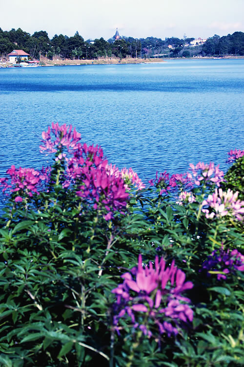 Da Lat Xuan Huong Lake.