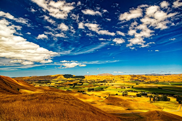 Farm land in New Zealand