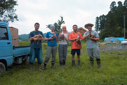 Japan volunteer WWOOF participants with ducks.