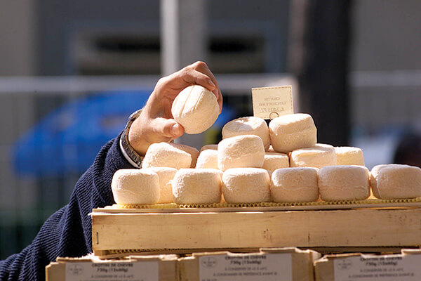 An Italian man's hand holds a baby goat cheese.