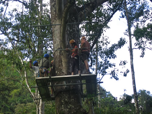 In the trees rappelling in Costa Rica.