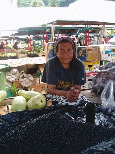 The blueberry seller in Transylvania.