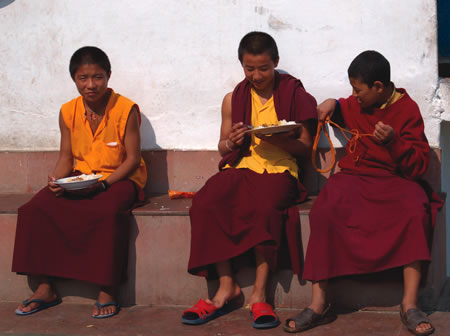 Three young Buddhist monks enjoying lunch, wearing robes.