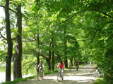 Cycle in Czech Republic